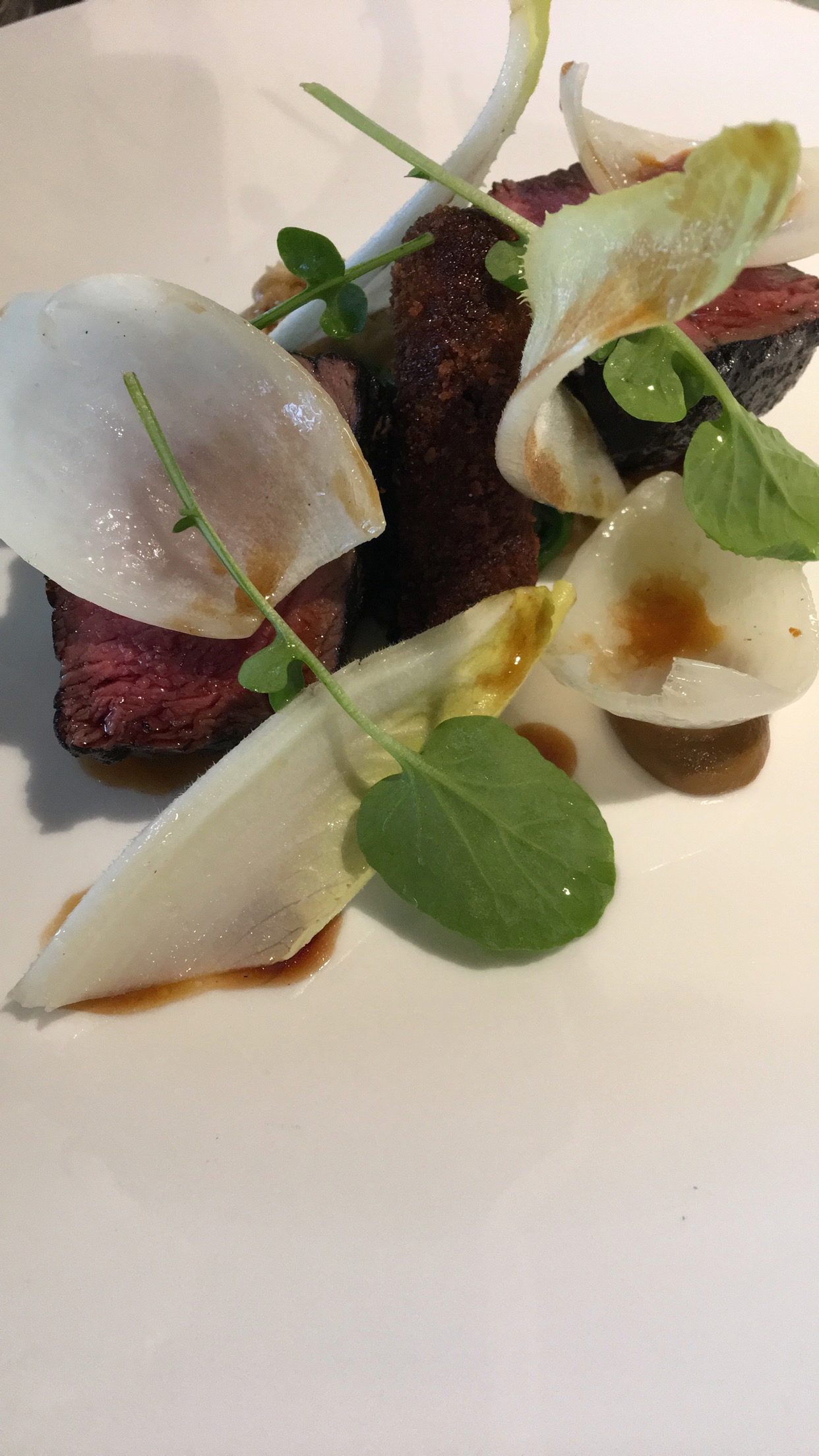 Plated Seared Steak with Endive