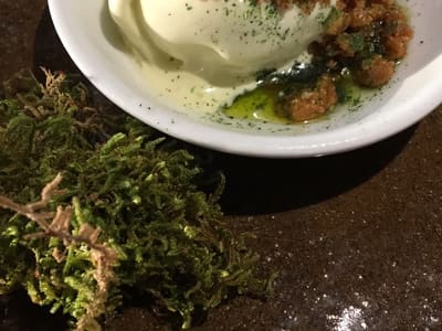 Creamy dessert with herb crumb and moss