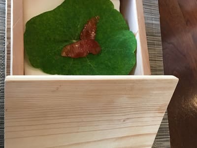Culinary leaf with cured fish in box