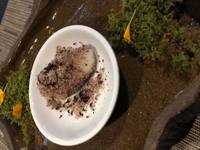 Forest-inspired plated dessert on ceramic tray