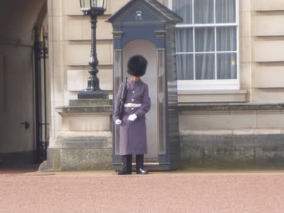 Buckingham Palace Guard Standing at Post