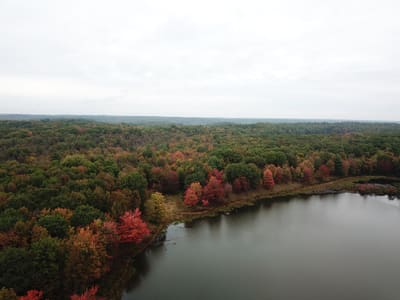 Aerial View of Autumn Forest Lake