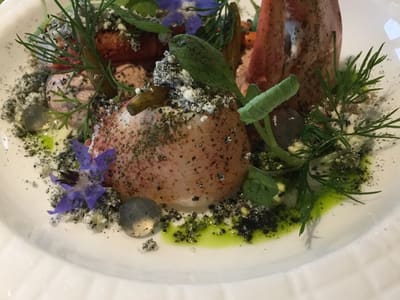Lobster Claw with Herb Garden Plating