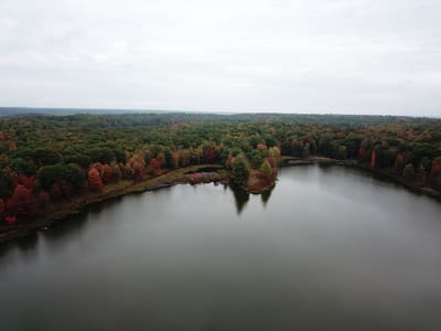 Aerial View of Autumn Lake and Forest