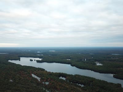 Aerial view of forested lake landscape